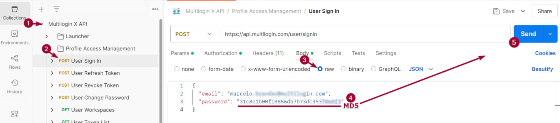 How to use Multilogin API as a team member with Postman reference visual 11